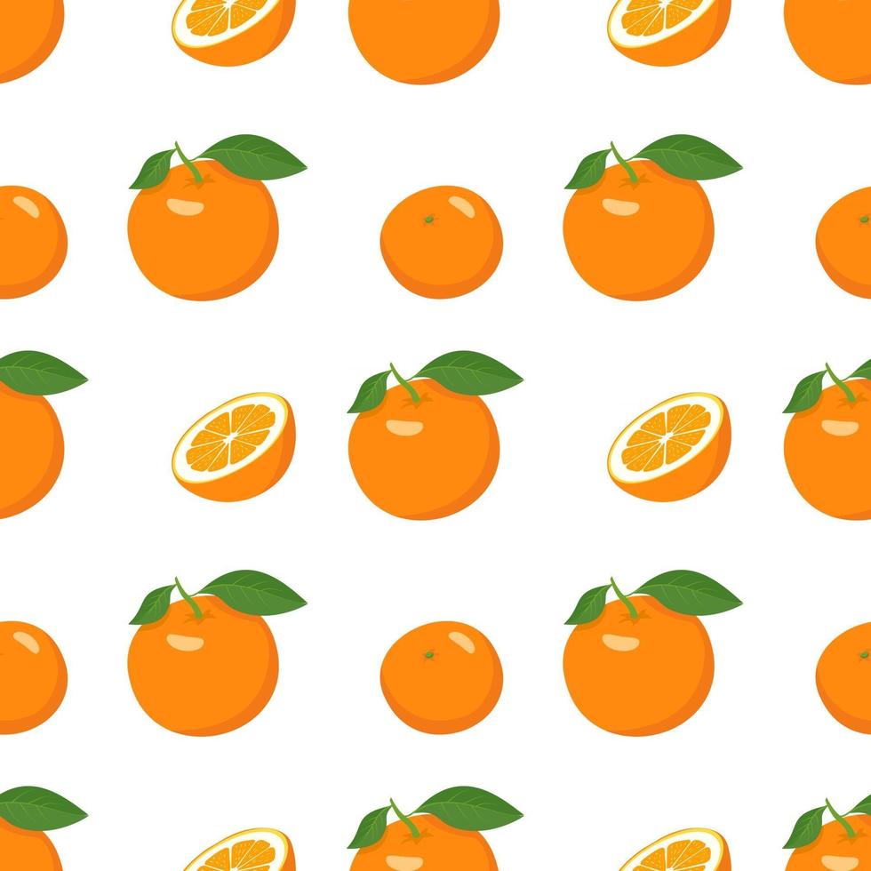 Seamless bright spring and summer pattern with oranges and slices on a white background. A set of citrus fruits for a healthy lifestyle vector