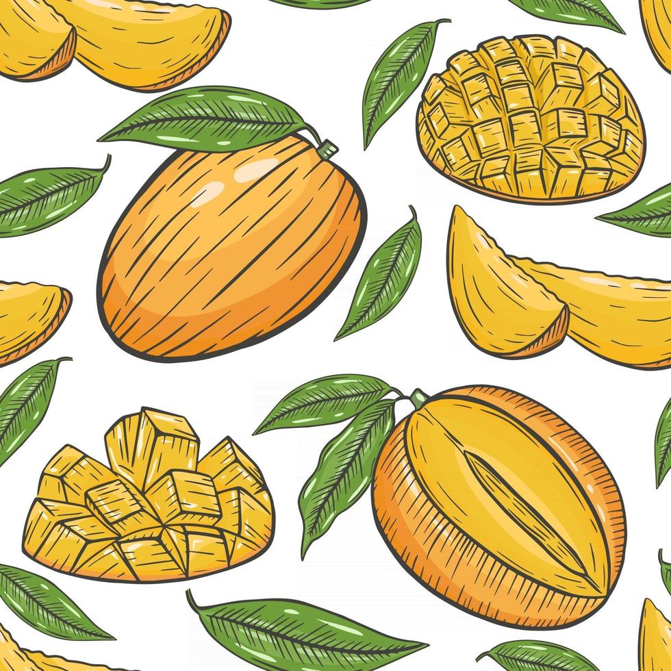 Seamless pattern with mango vector