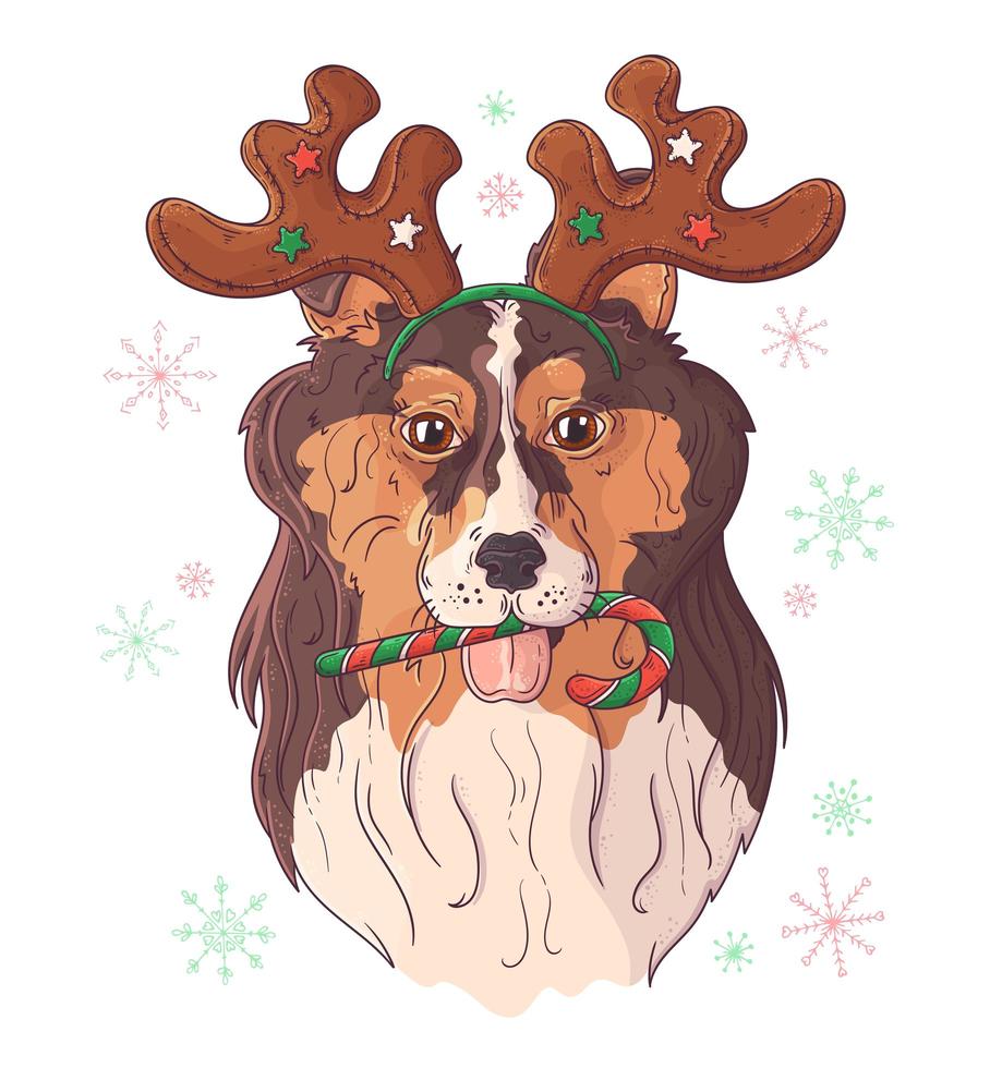 Retrato dibujado a mano de perro collie en vector de accesorios de Navidad.