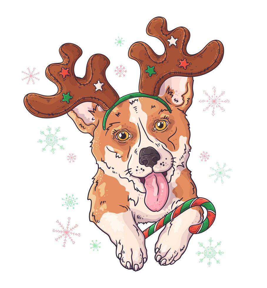 Hand drawn portrait of corgi dog in Christmas accessories Vector. vector