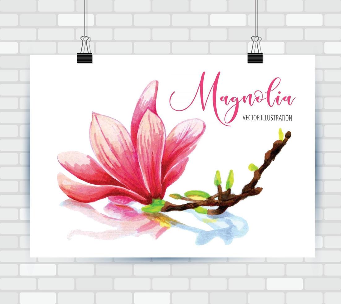 ynd dibujado boceto flor magnolia vector