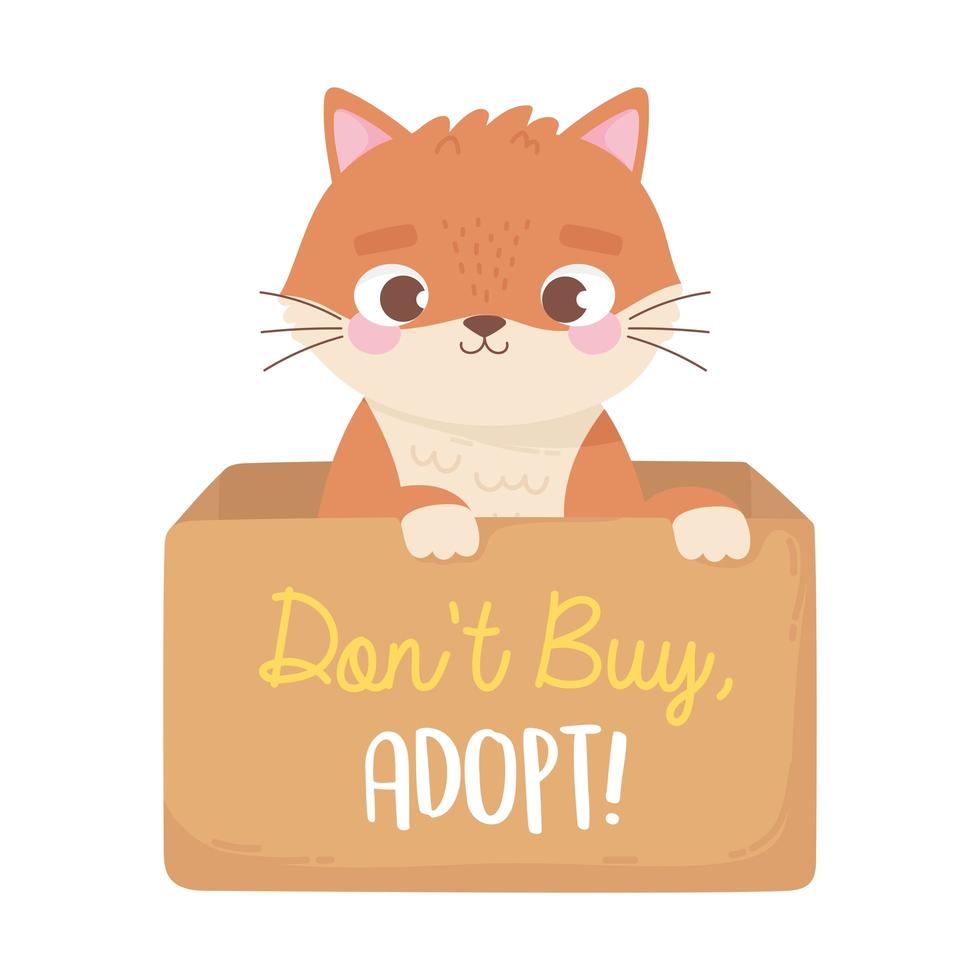 adopt a pet, cute little cat in the cardboard box vector