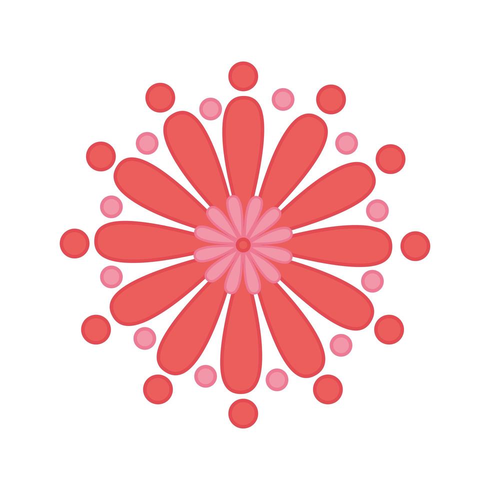 flower dotted petals nature element decoration color design vector