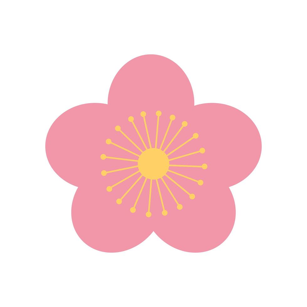 sakura flower nature oriental element decoration color design vector