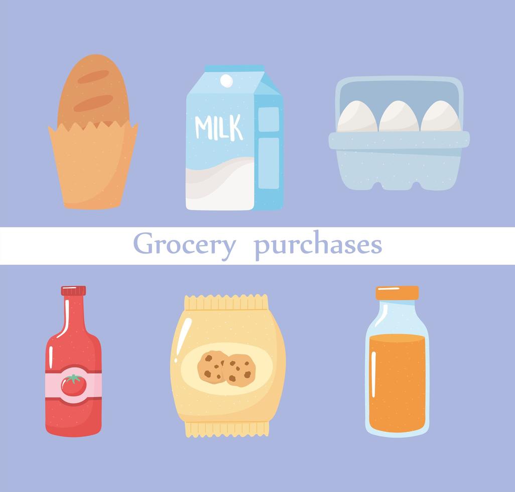 grocery purchases bread, eggs, juice, biscuits, tomato and sauce vector