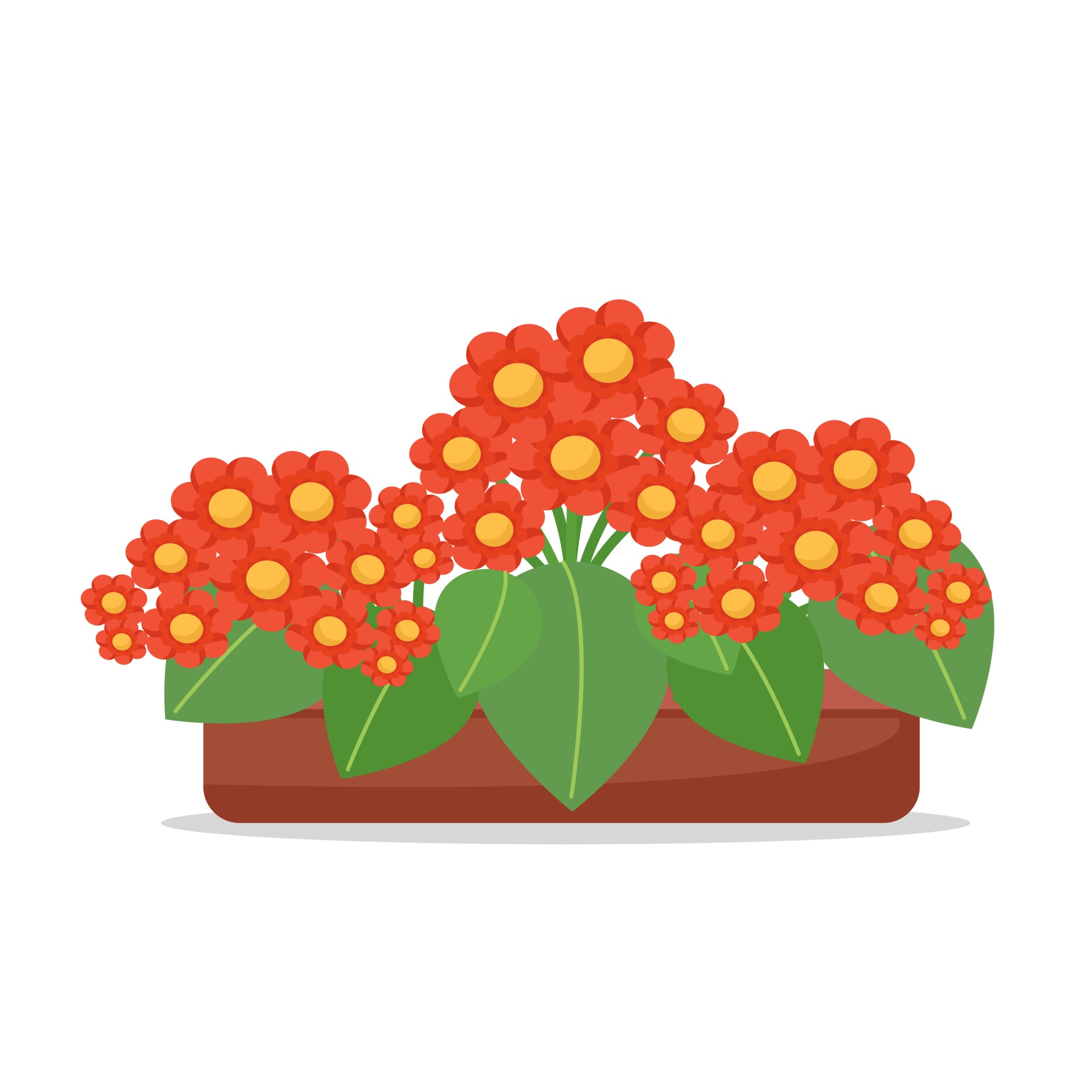 Red flowers in a pot, houseplants, cute flowers, vector illustration in flat style, cartoon 2691950 Vector Art at Vecteezy Red flowers in a pot, houseplants, cute flowers, vector illustration in flat style, cartoon 2691950 Vector Art at Vecteezy