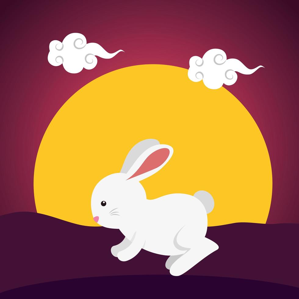 cute and little rabbit in the field sunset scene vector