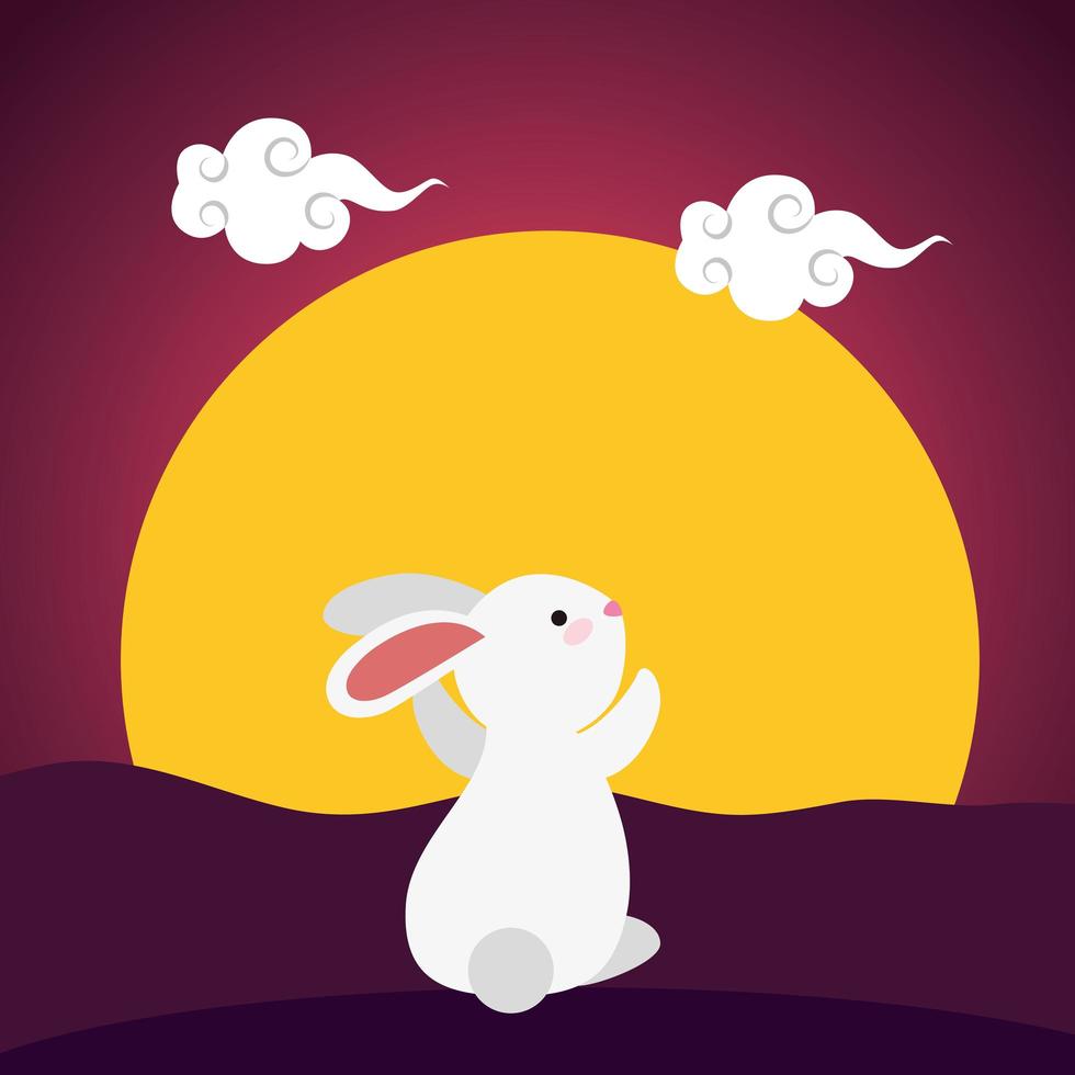 cute and little rabbit in the field sunset scene vector