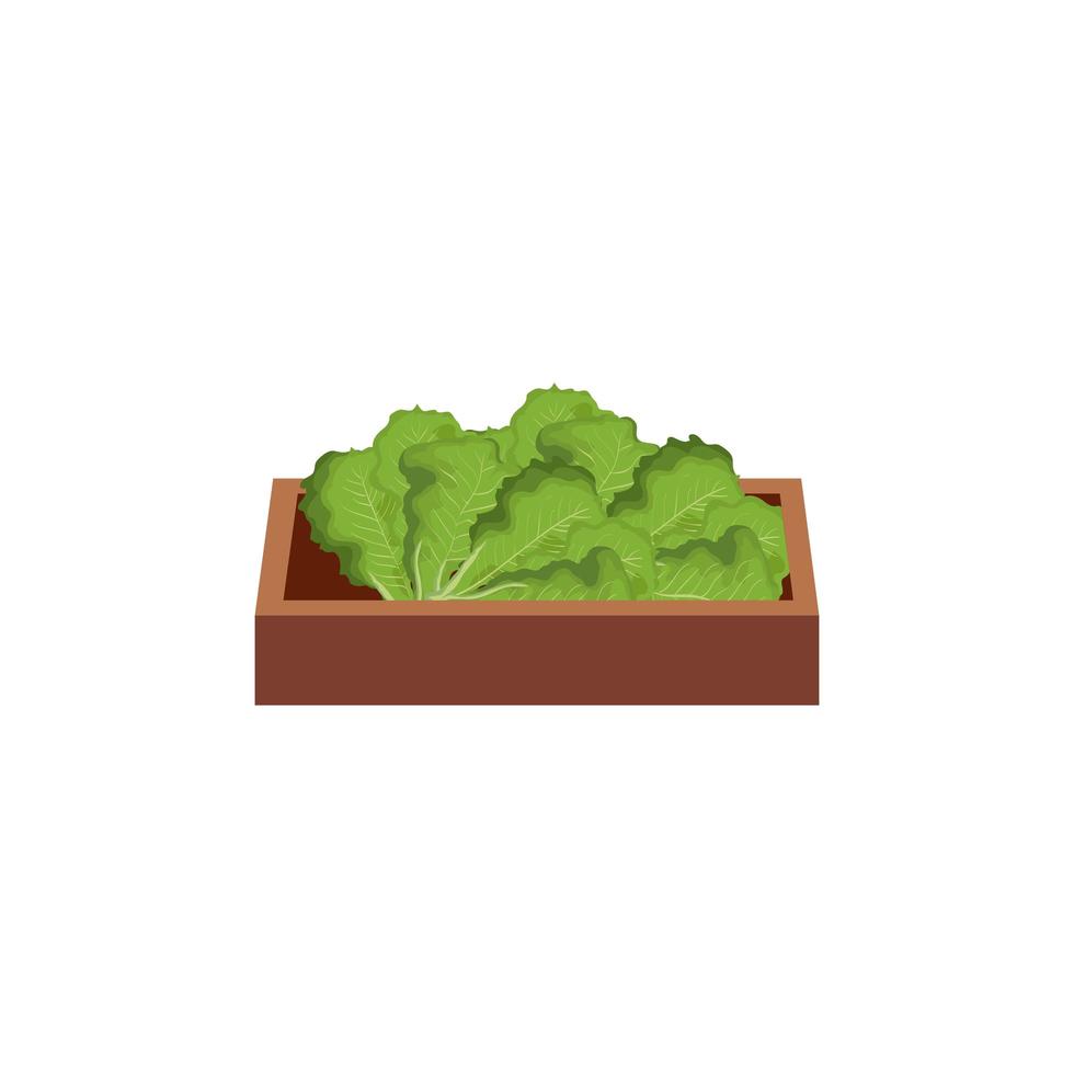 Vegetales saludables en caja de madera icono aislado vector