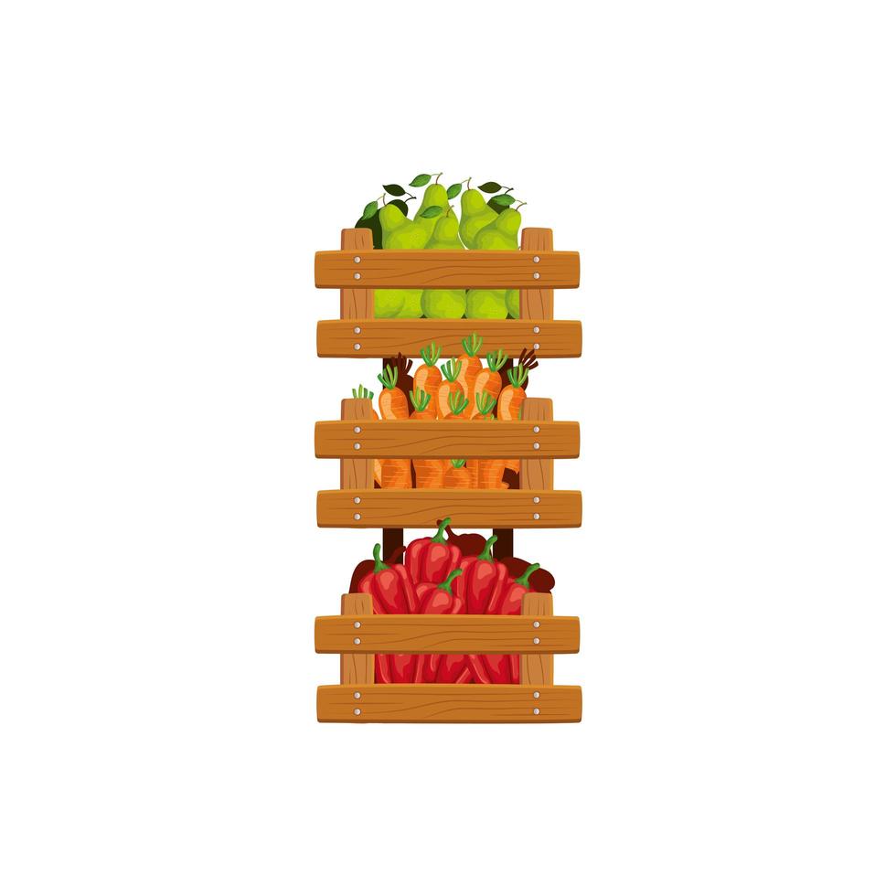 fresh and healthy vegetable isolated icon vector