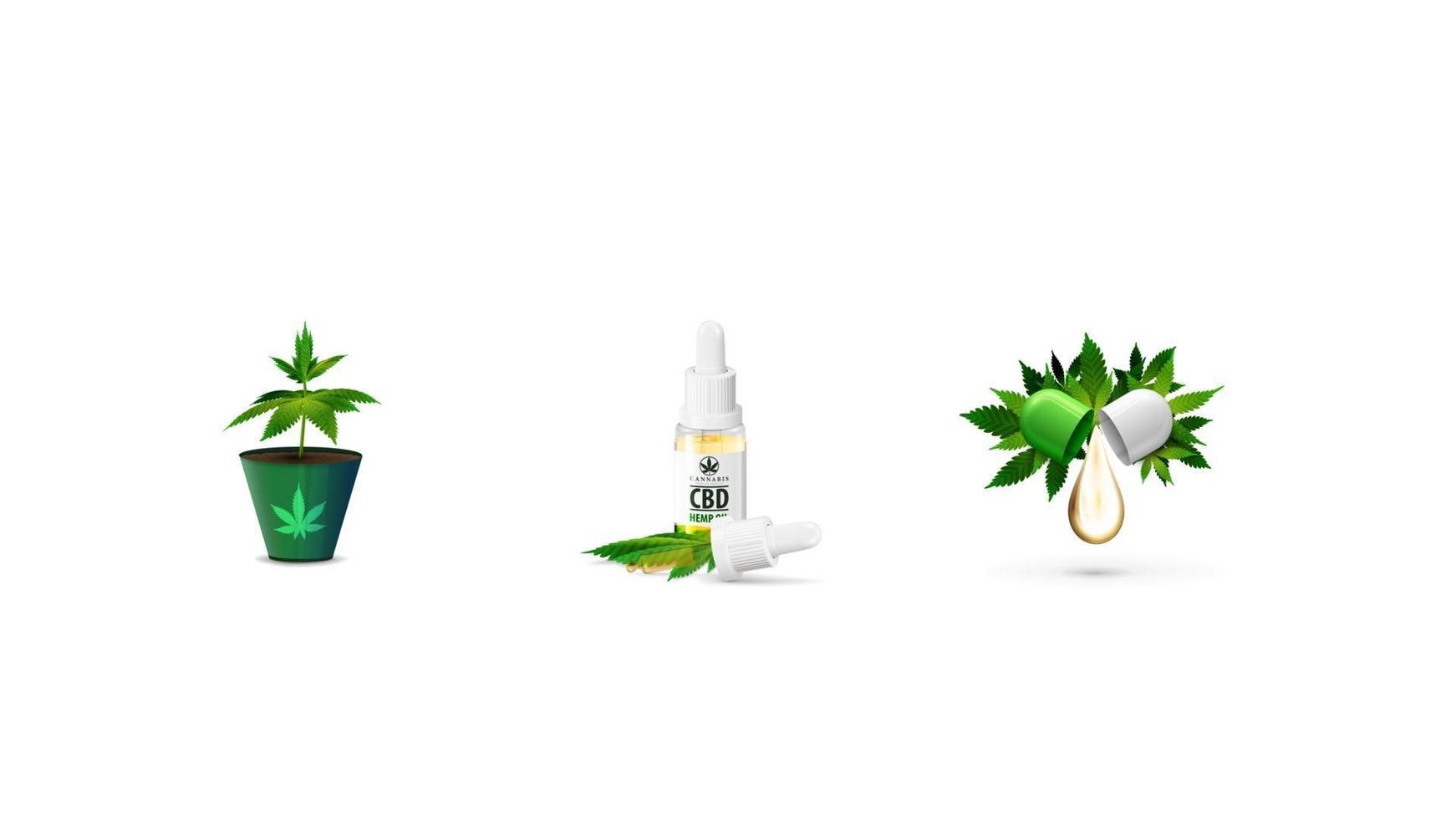 Set of volumetric cannabis icons isolated on white background. Cannabis sprout in a pot, CBD oil and CBD pilule vector