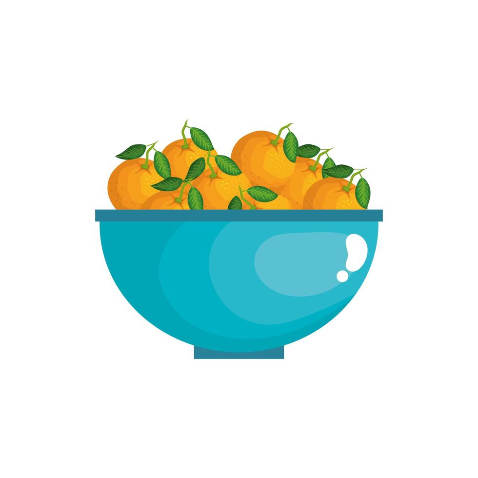 Diseño vectorial de frutas naranjas aisladas vector