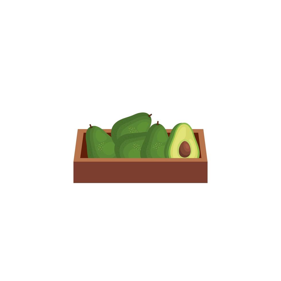 Aguacates vegetales en caja de madera icono aislado vector