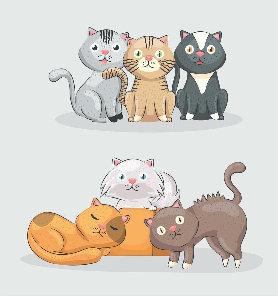 grupo de gatos lindos vector