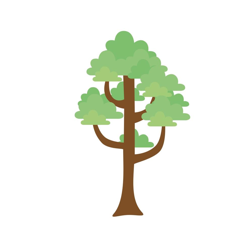 Isolated natural tree vector