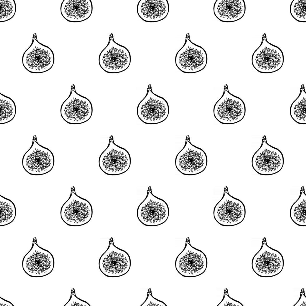 Seamless pattern with hand drawn fruits elements fig. Vegetarian wallpaper. For design packaging, textile, background, design postcards and posters. vector