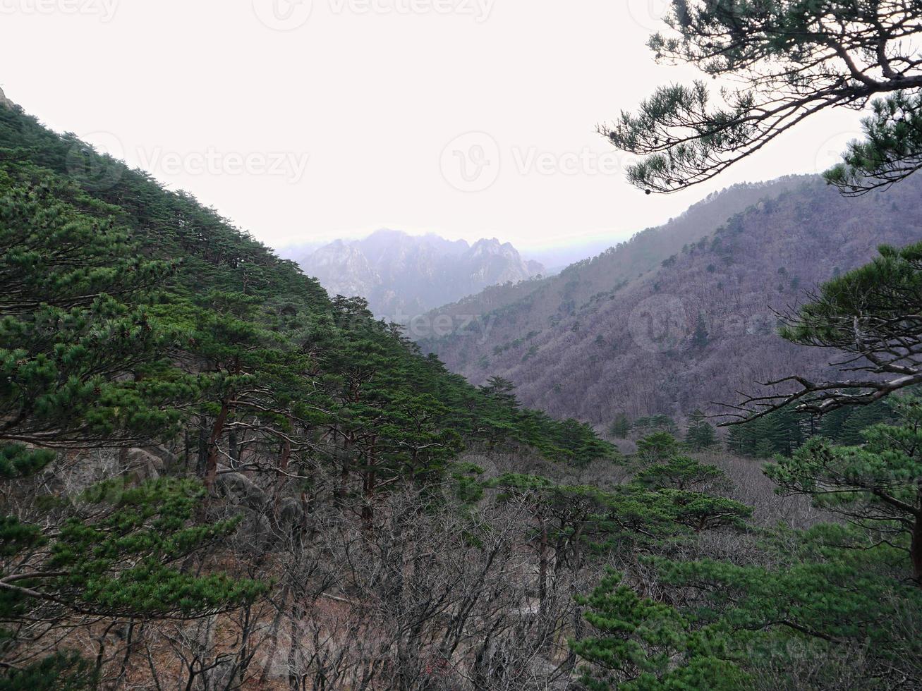 hermosas montañas en corea del sur foto