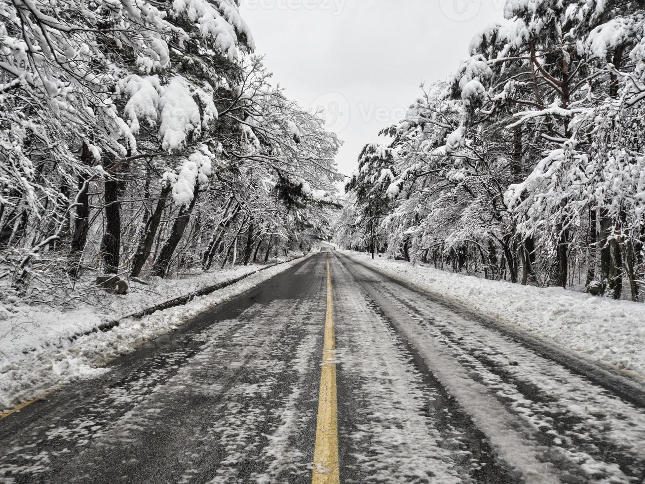 Camino forestal cubierto de nieve en las montañas. parque nacional de seoraksan. Corea del Sur foto