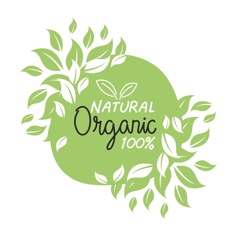 Organic natural label vector