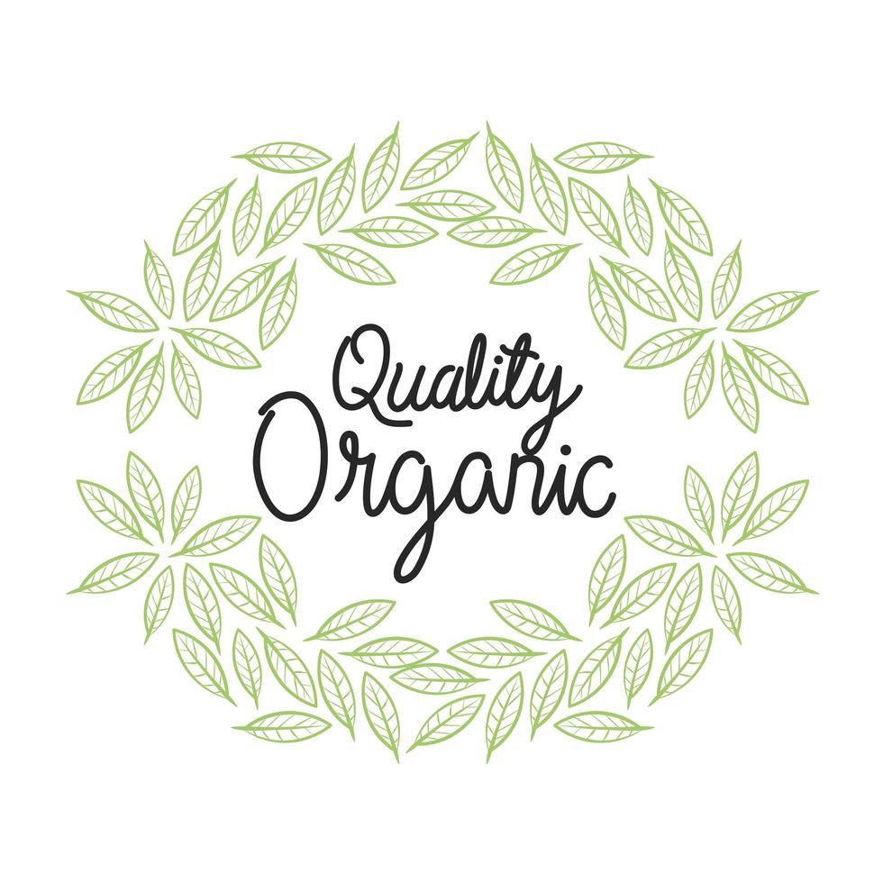 organic quality with leaves vector