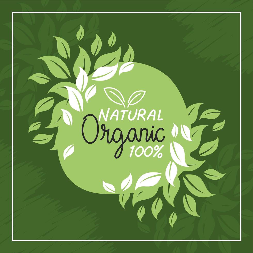 green organic natural label vector