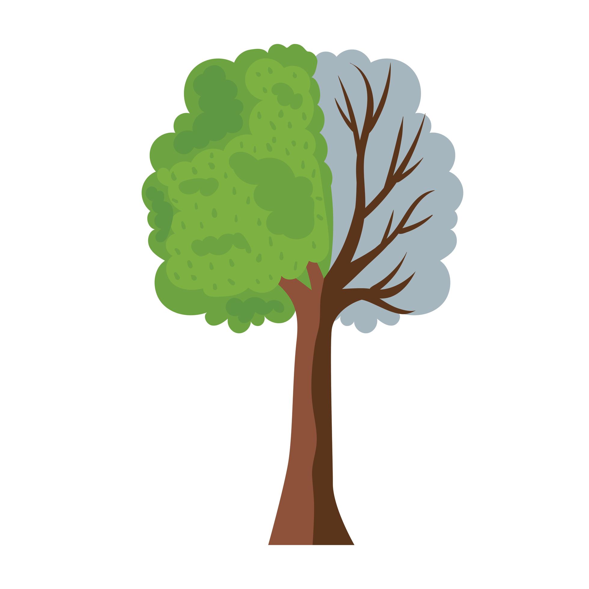 tree half dead and half alive 2695833 Vector Art at Vecteezy