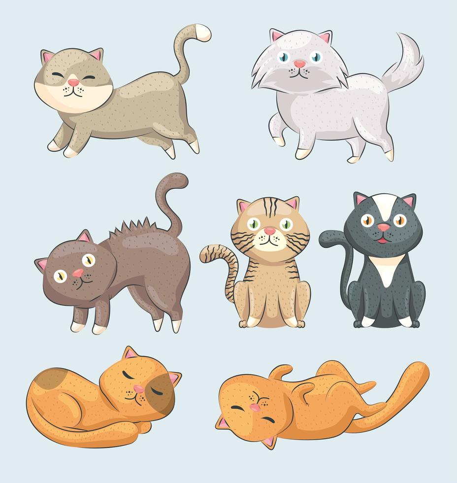 seven cute cats vector