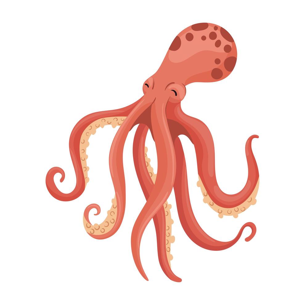 octopus marine animal vector