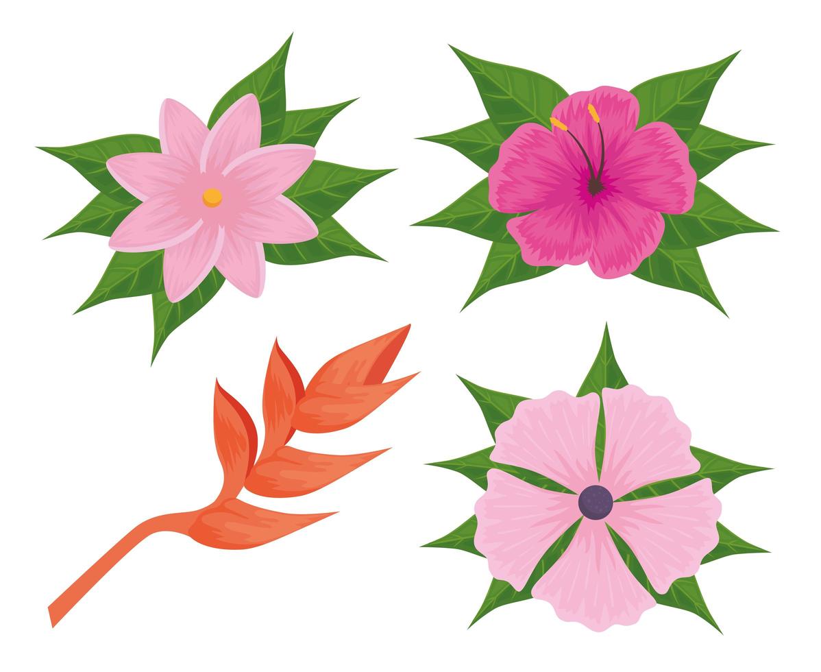 set tropical flowers vector