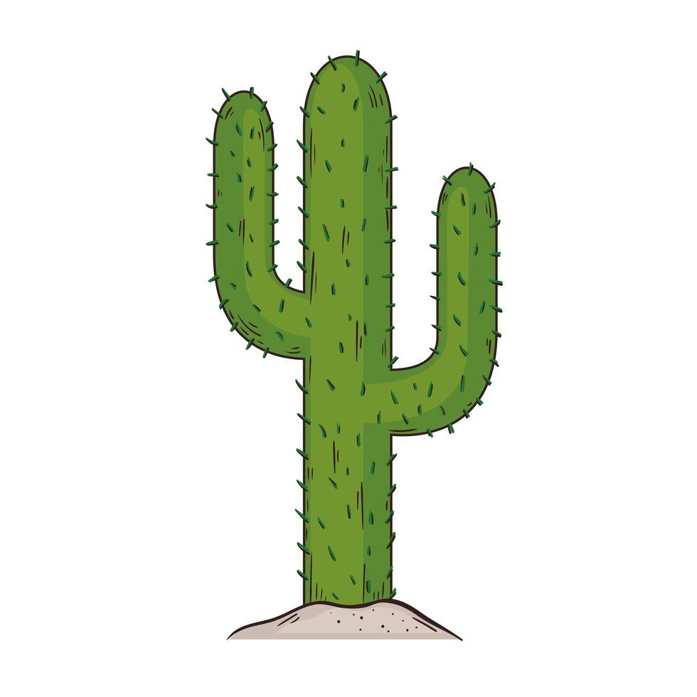 cactus dry plant vector
