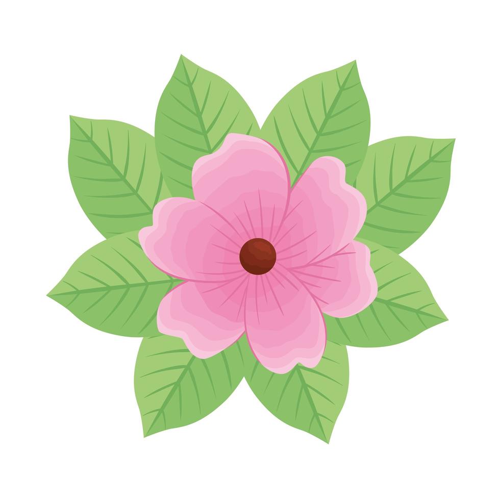 cute flower pink vector
