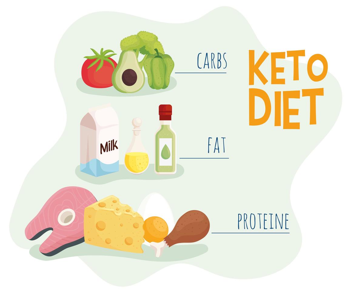 keto diet infographic vector