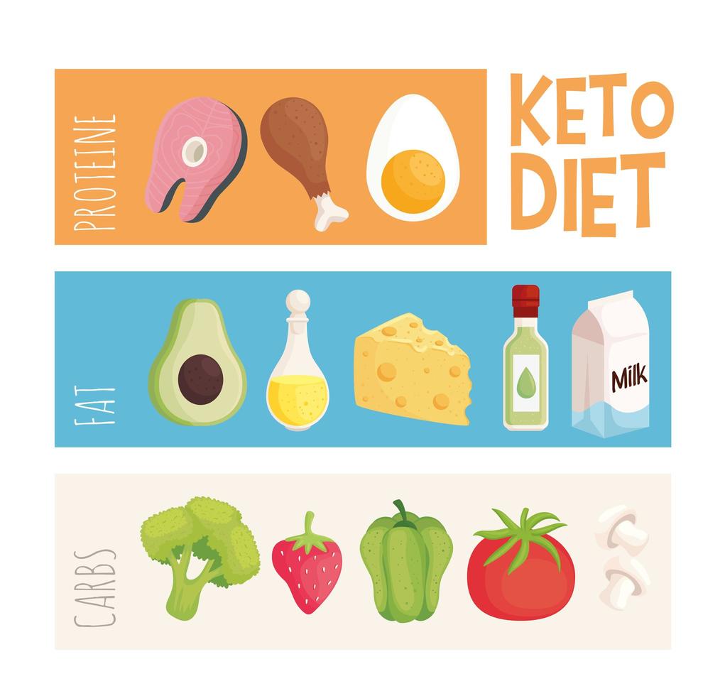 infografía dieta ceto vector