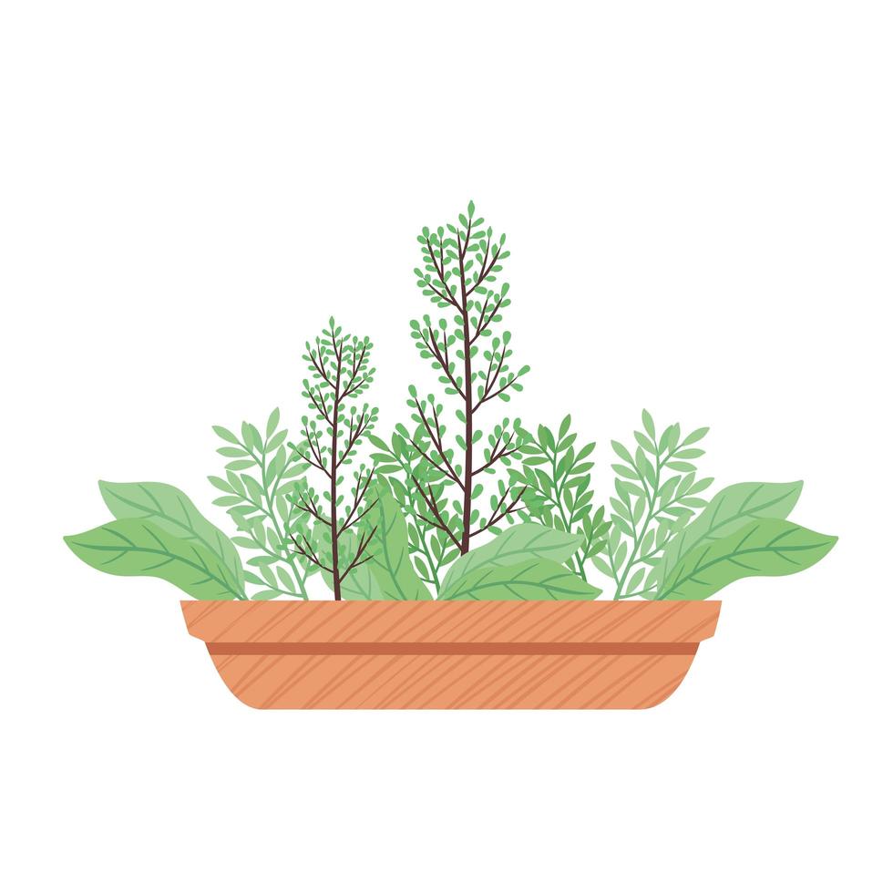 house plant in yellow ceramic pot with square shape spring season icon vector