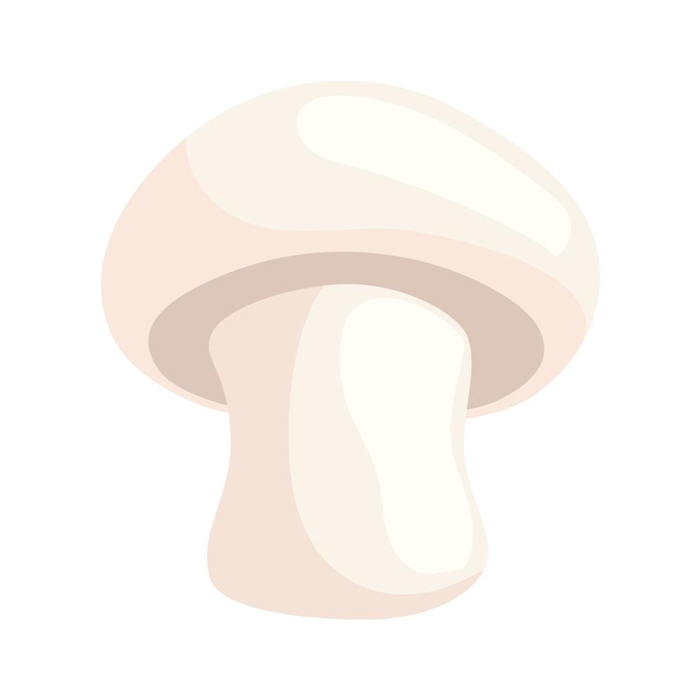 fresh mushroom vegetable vector