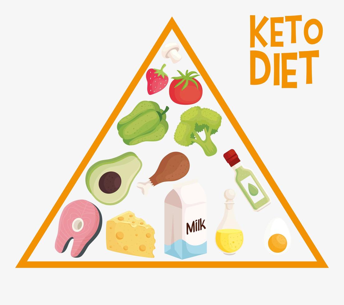 keto diet pyramid vector