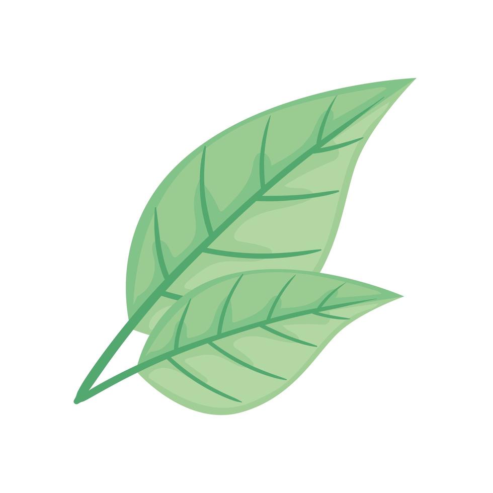 leafs plant ecology nature icon vector