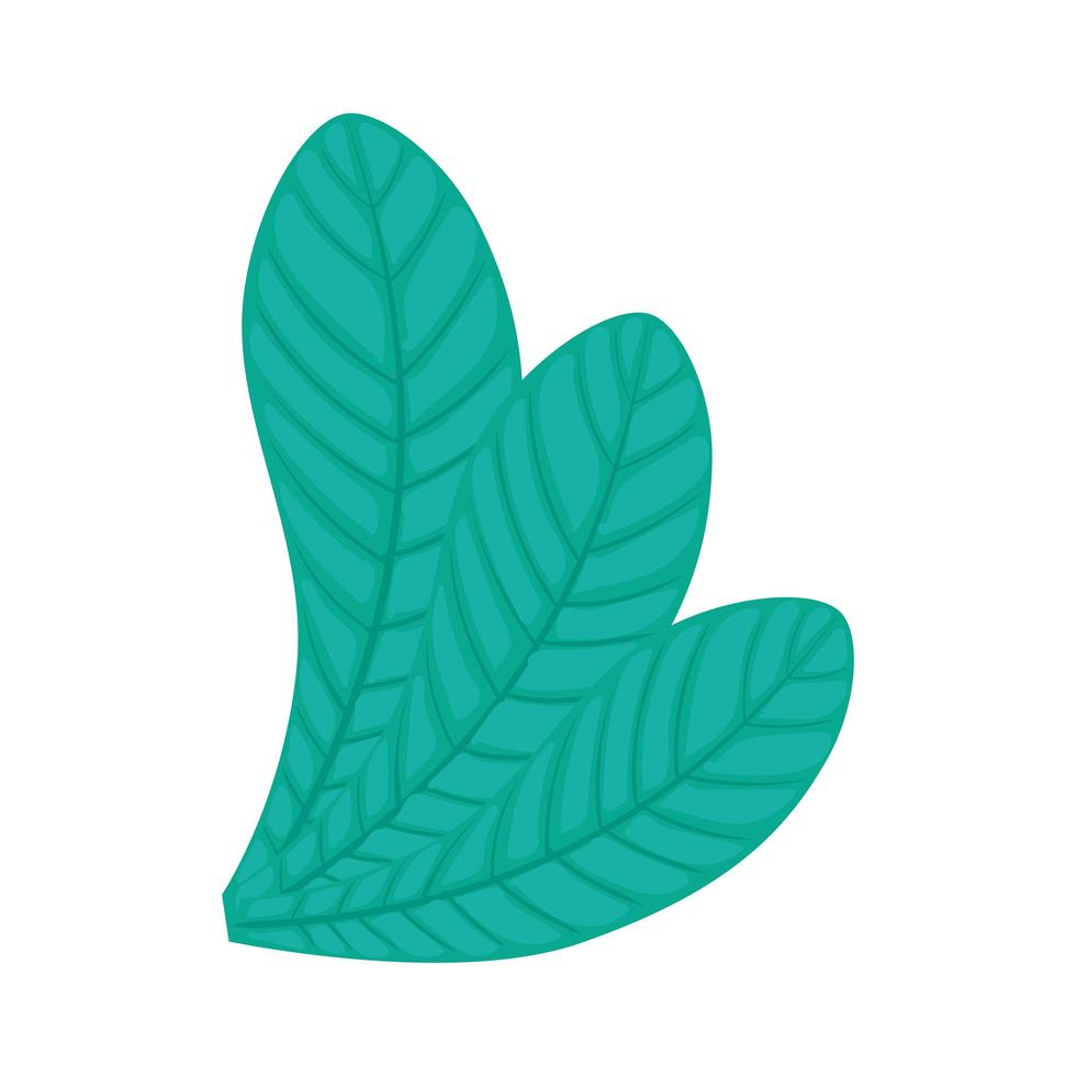 hojas, planta, naturaleza, ecología, icono vector