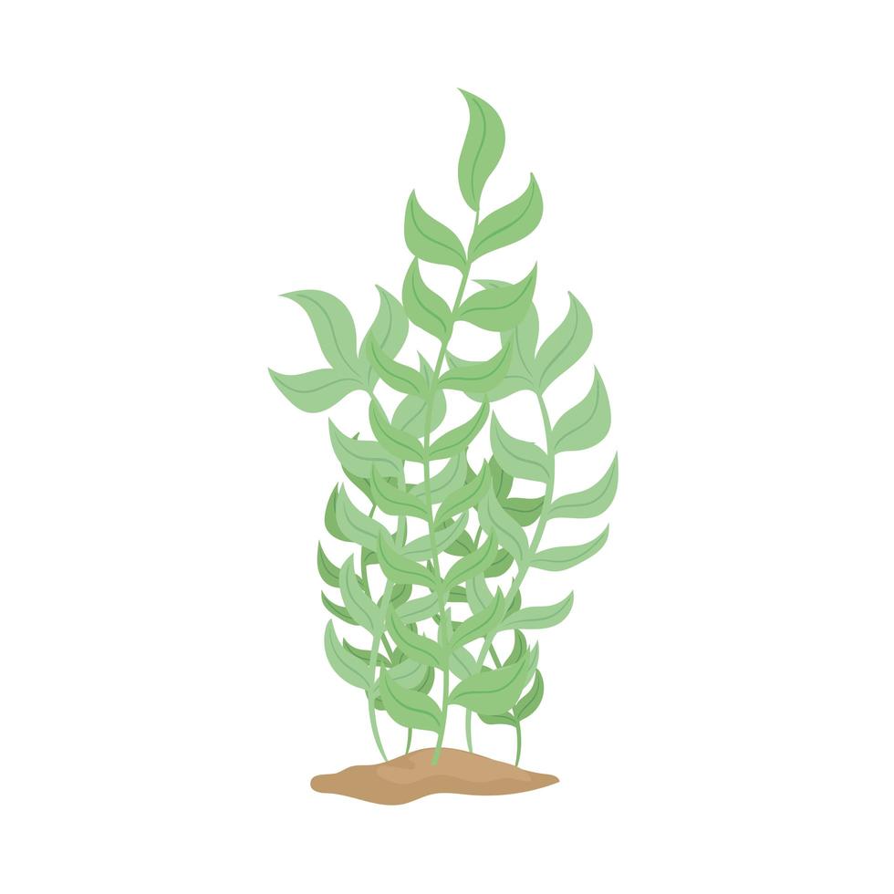 seaweed nature foliage sealife in sand vector