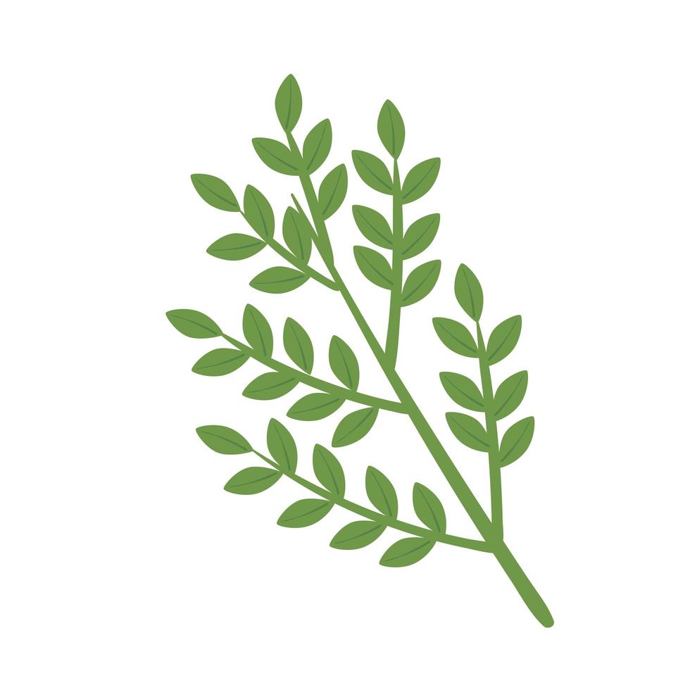 branches and leafs plant nature icon vector