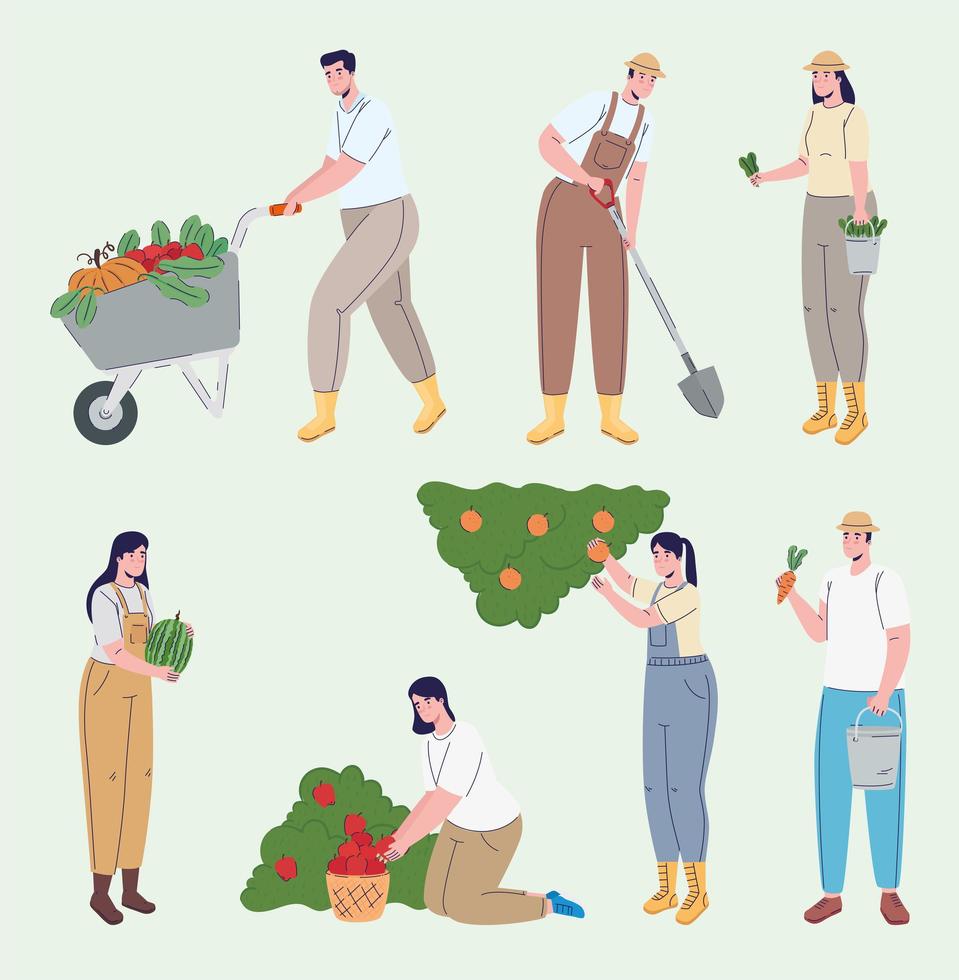 grupo de agricultores cultivando personajes avatares vector