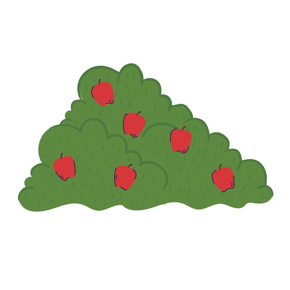 tomatoes cultive organic product icon vector
