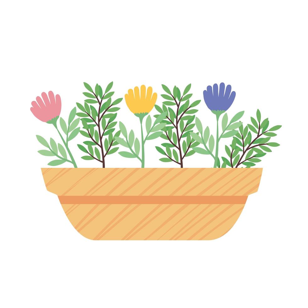 colors flowers plant in yellow ceramic pot spring season icon vector