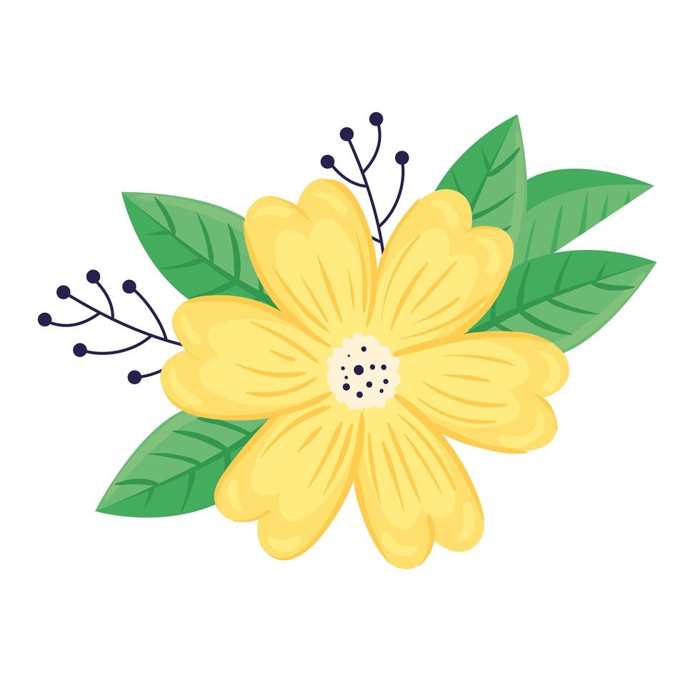 beauty yellow flower and leafs spring season icon vector