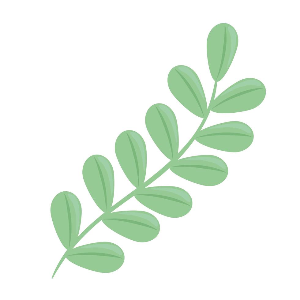 branch with leafs spring season icon vector
