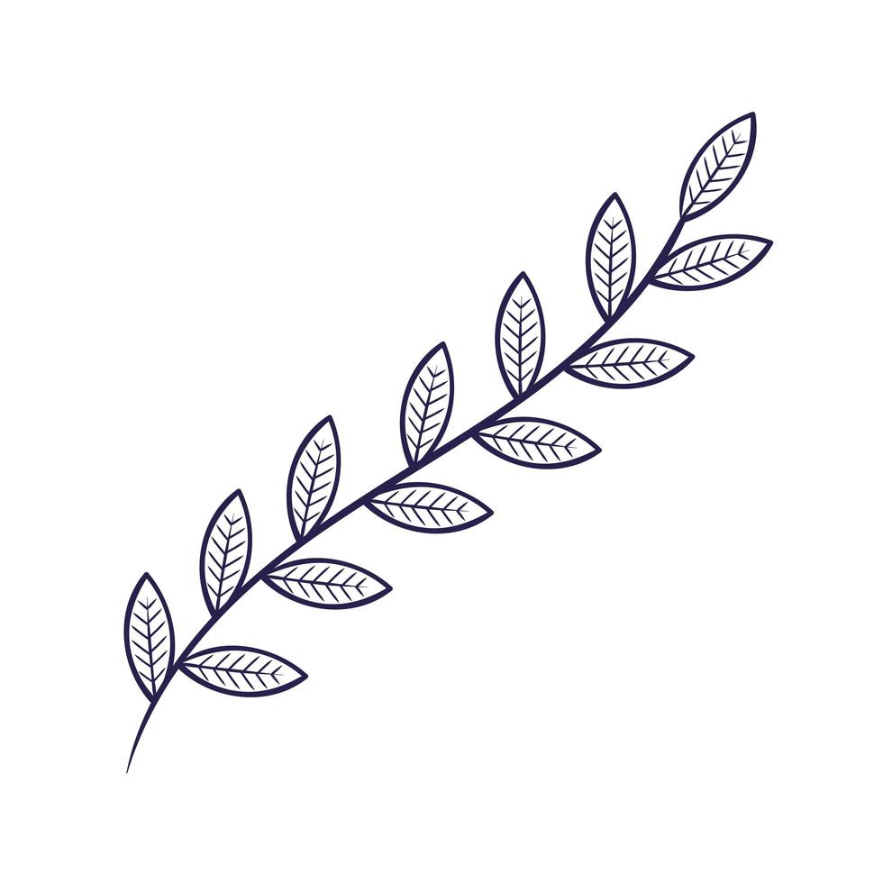 branch with leafs nature plant icon vector