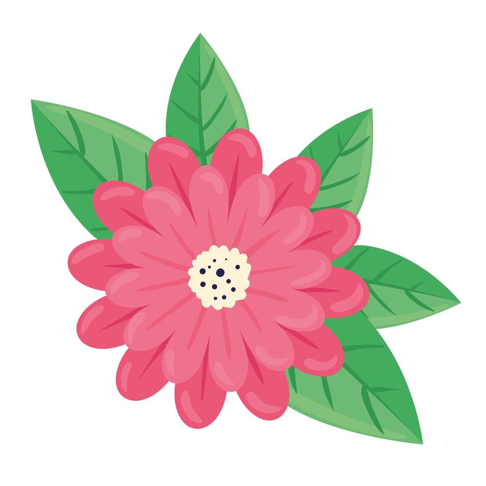 beauty red flower and leafs spring season icon vector