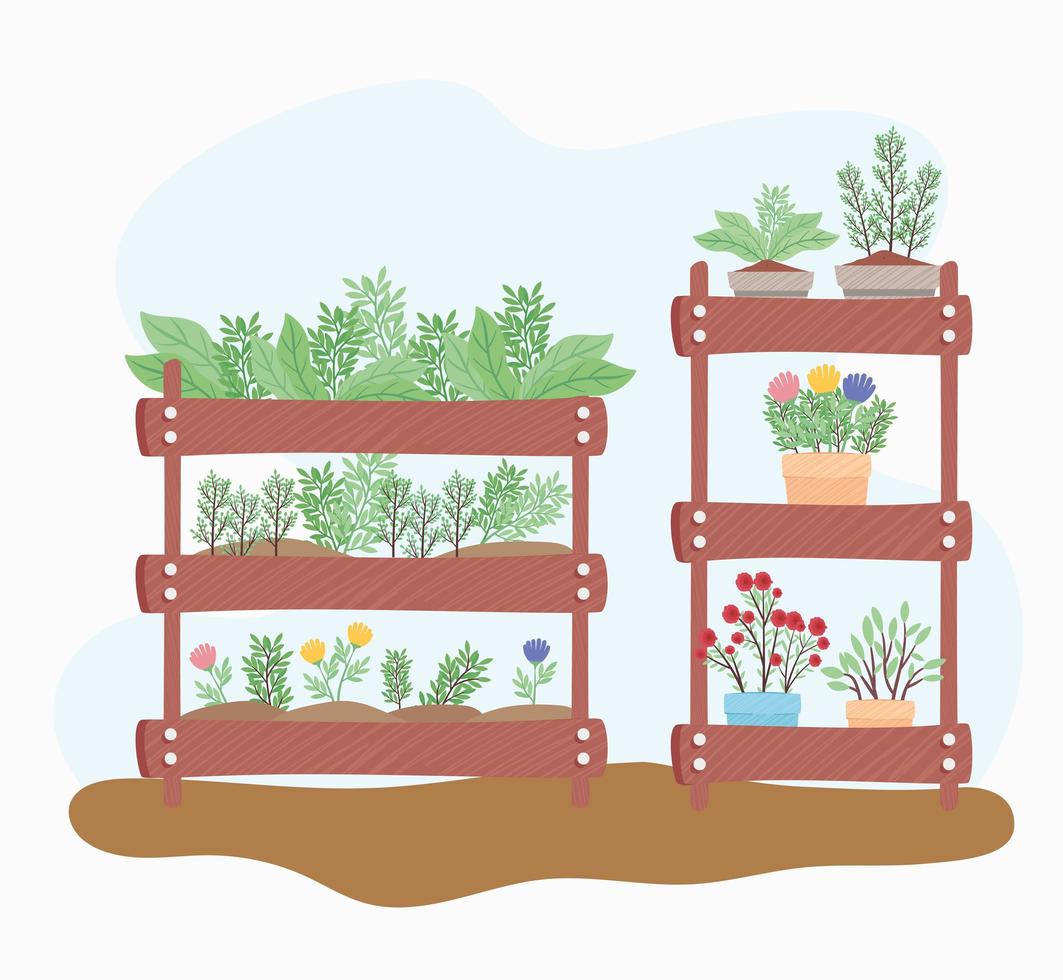 group of houseplants in wooden shelvings vector