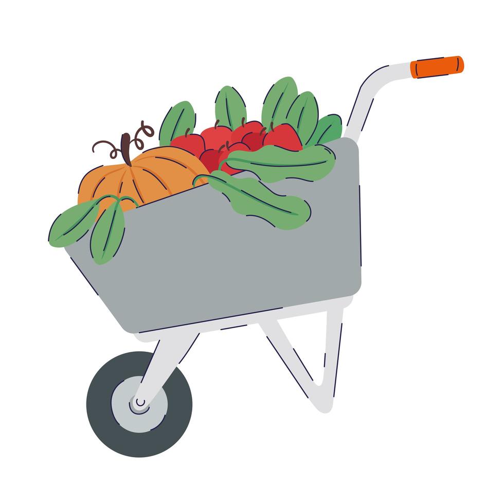 wheelbarrow with fresh vegetables organic product vector