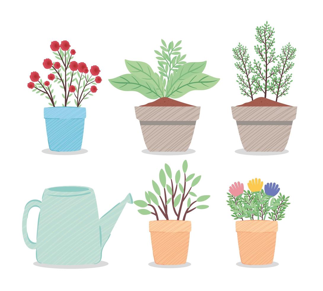 bundle of houseplants and sprinkler tool vector